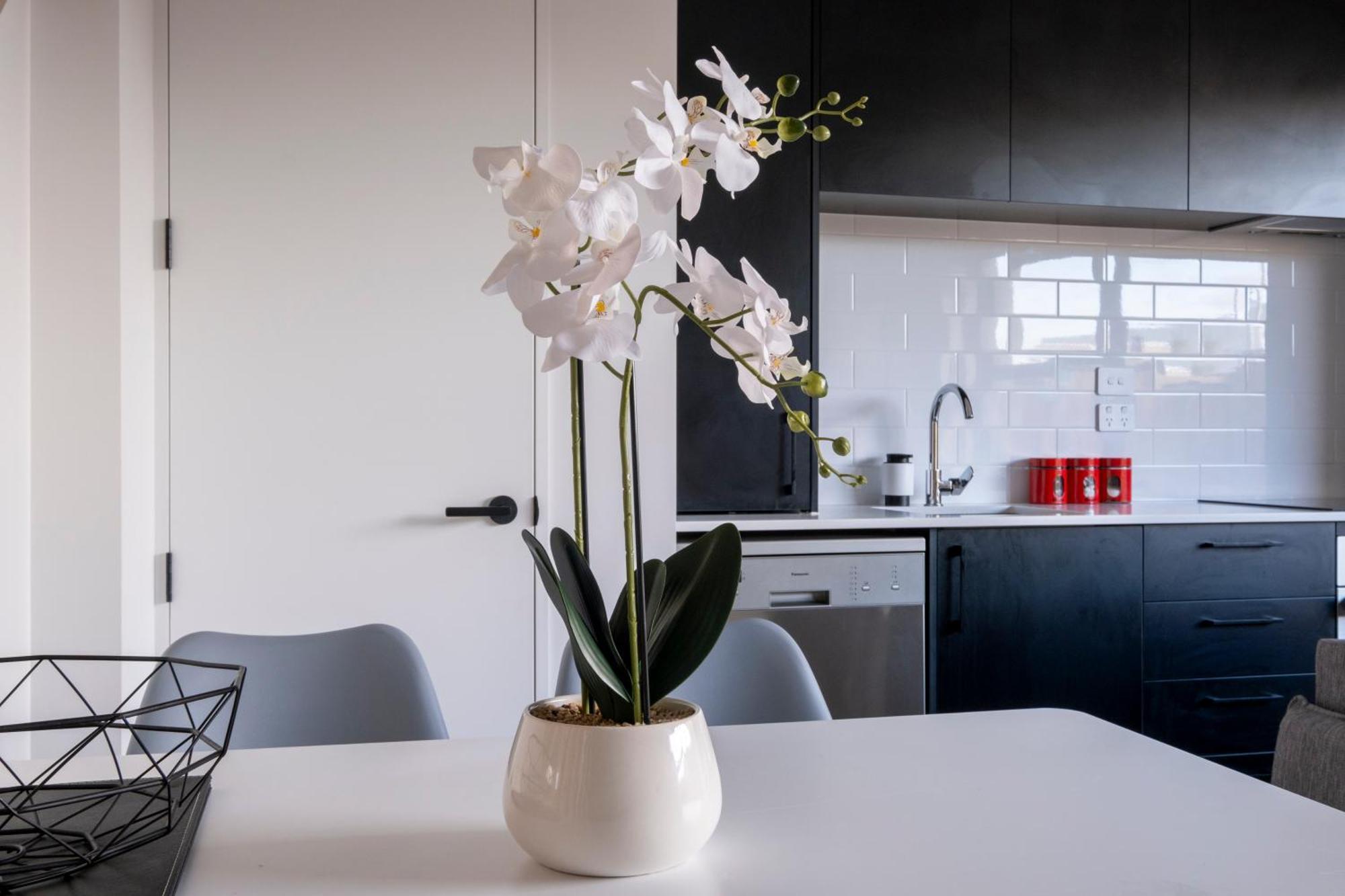 Luxury 2 Bed Townhome In Cbd クライストチャーチ エクステリア 写真