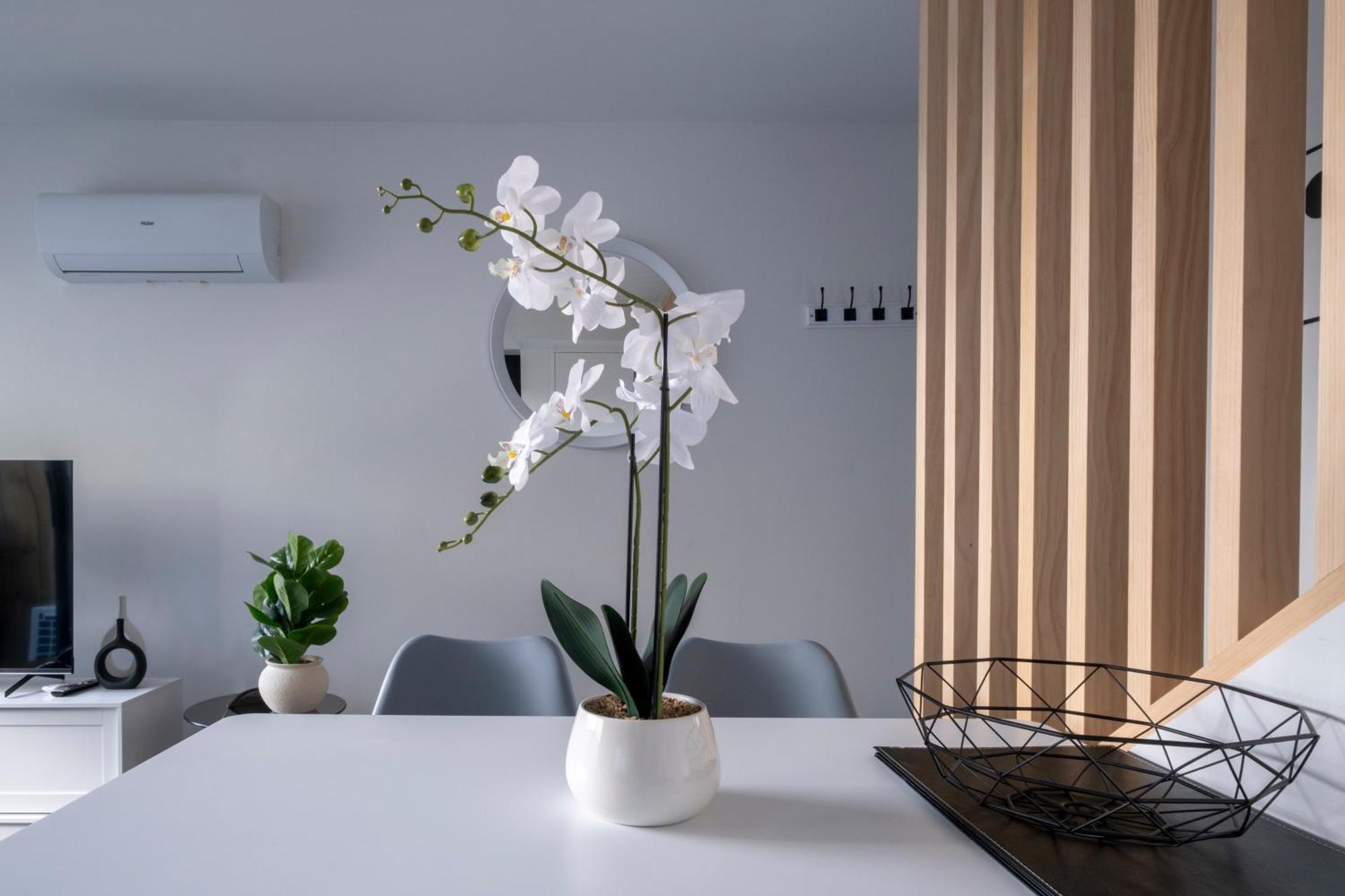 Luxury 2 Bed Townhome In Cbd クライストチャーチ エクステリア 写真